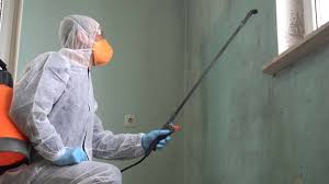 Best Mold Remediation for Healthcare Facilities  in Ramsey, NJ