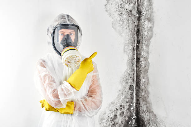 Best Biohazard Mold Removal  in Ramsey, NJ