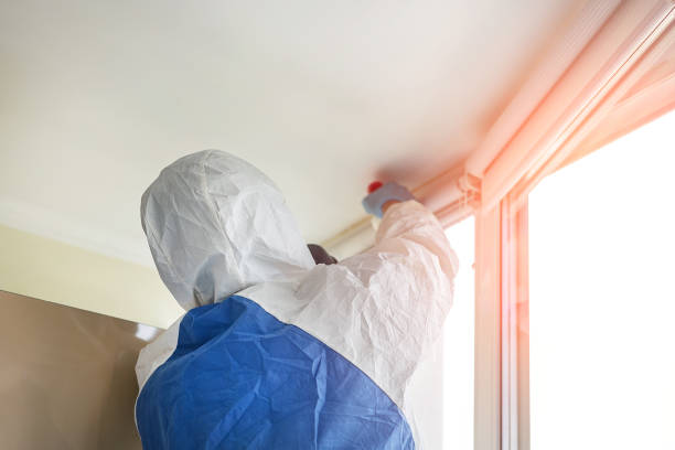 Best Asbestos and Lead Testing During Mold Inspection  in Ramsey, NJ