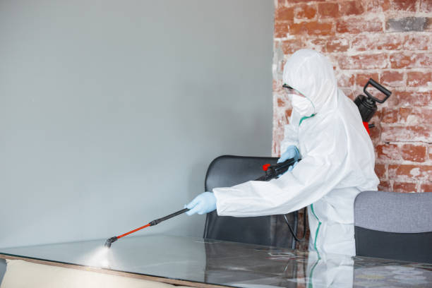 Best Comprehensive Air Testing for Mold Contaminants  in Ramsey, NJ