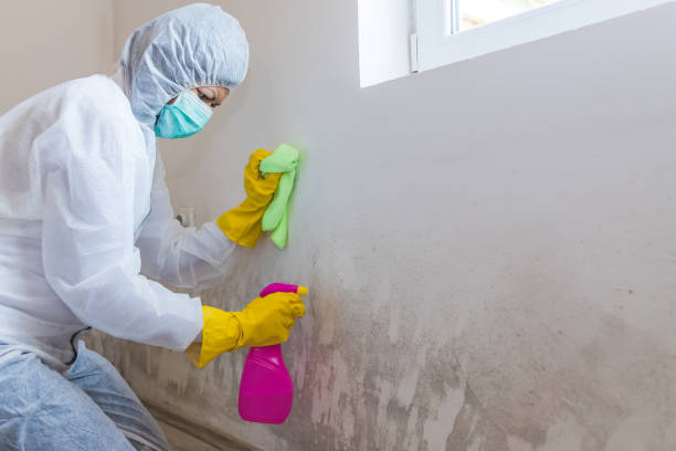 Best Airborne Mold Testing  in Ramsey, NJ